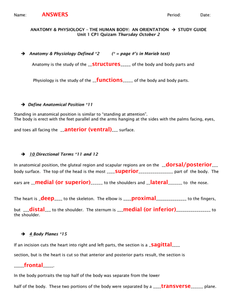 Chapter 1 The Human Body An Orientation Worksheet Answers Worksheet List Anatomy Worksheets 8438