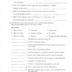 Chapter 10 Blood Anatomy And Physiology Coloring Workbook Answers