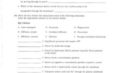 Chapter 10 Blood Anatomy And Physiology Coloring Workbook Answers