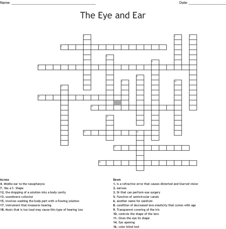 Eye And Ear Anatomy Worksheet Answers