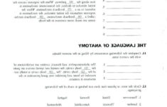 Chapter 3 Cells And Tissues Study Guide Answer Key Free Worksheets