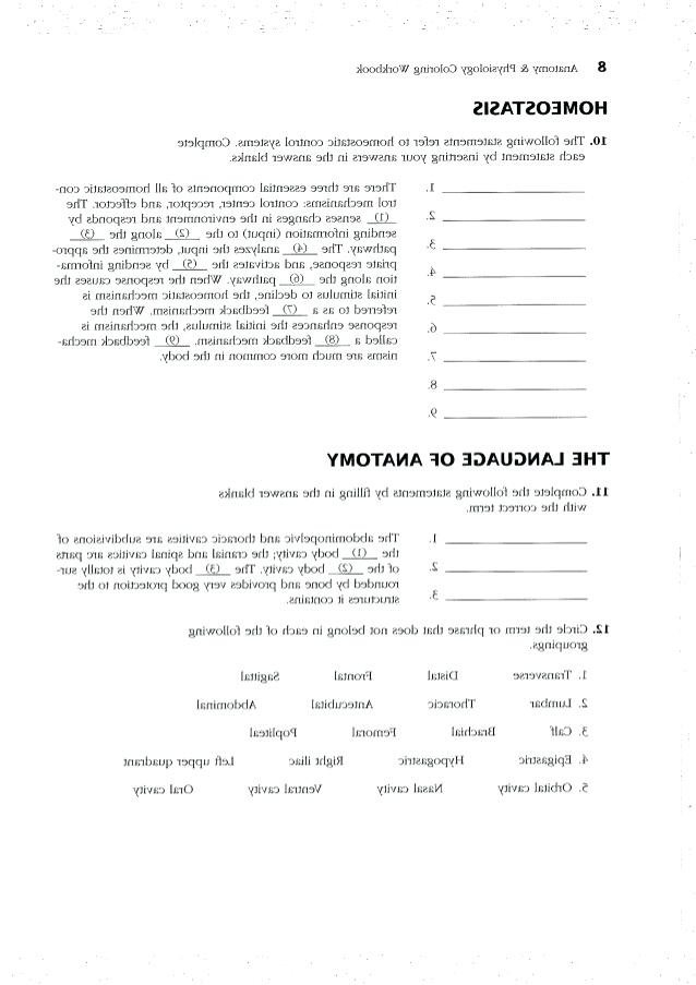 Chapter 3 Cells And Tissues Study Guide Answer Key Free Worksheets 