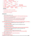 Chapter 3 Cells And Tissues Study Guide Answers Study Poster