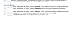 Chapter 3 Cells And Tissues Worksheet Answer Key Nidecmege