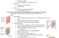 Chapter 4 The Tissue Level Of Organization Study Guide Answers Study