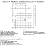 Chapter 6 Anatomy And Physiology Test Answers