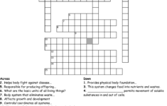 Chapter 6 Anatomy And Physiology Test Answers