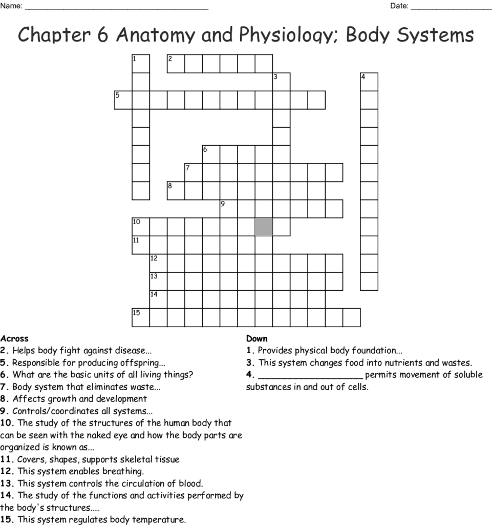 chapter 6 anatomy and physiology worksheet answers