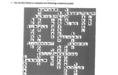 Chapter 7 4 Skeletal System Assignment Sheet Answers