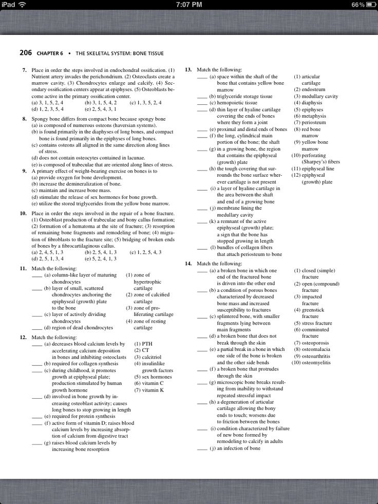 Chapter 7 Skeletal System Worksheet Answers Worksheet List
