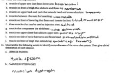 Chapter 7 Skeletal System Worksheet Answers Worksheet List