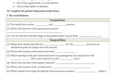 Chapter 7 Skeletal System Worksheet Answers Worksheet List