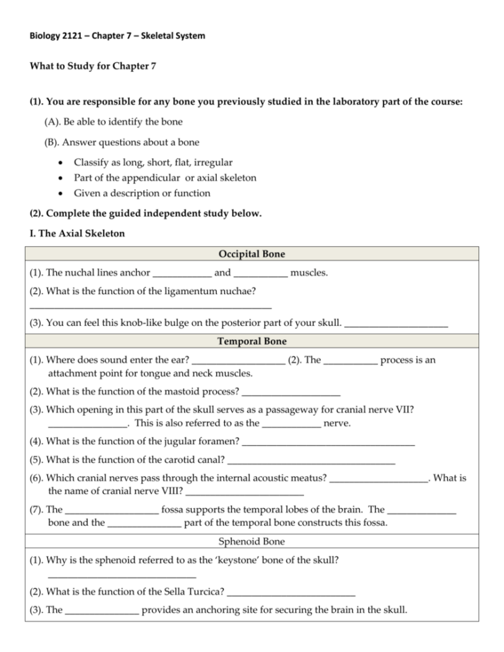 Anatomy Chapter 7 Skeletal System Worksheet Answers