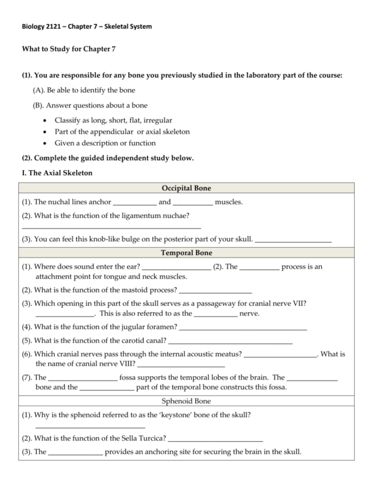 Anatomy And Physiology Chapter 7 Skeletal System Packet Answers