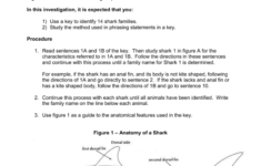 Classifying Sharks Using A Dichotomus Key