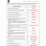 Collection Of Cell Organelles Worksheet Answer Key Biology Worksheets