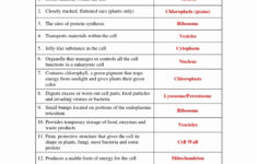 Collection Of Cell Organelles Worksheet Answer Key Biology Worksheets