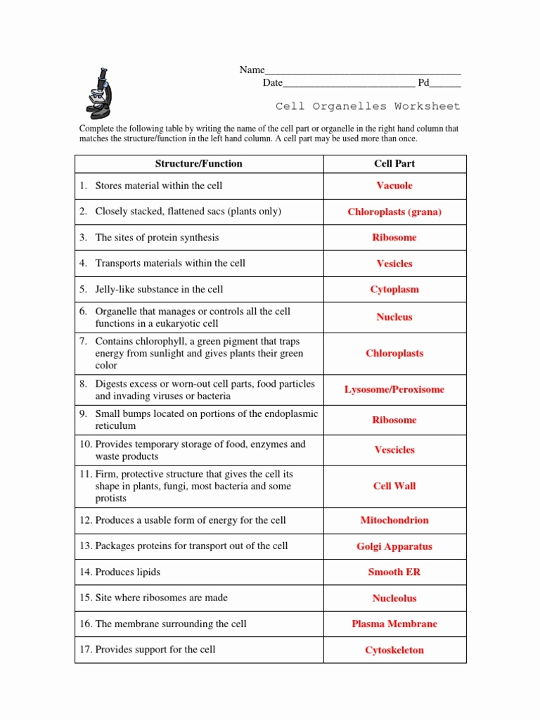 Collection Of Cell Organelles Worksheet Answer Key Biology Worksheets 