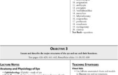 Comprehending Anatomy And Physiology Terminology Worksheet Answers