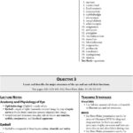 Comprehending Anatomy And Physiology Terminology Worksheet Answers Db