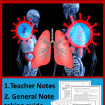 Crash Course Anatomy Physiology 1 47 In 2021 Science Lessons High