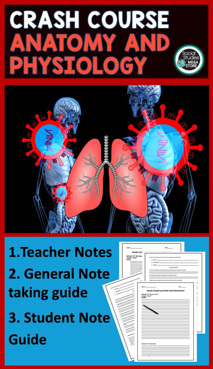 Crash Course Anatomy And Physiology Worksheets Anatomy Worksheets