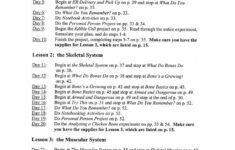 Daily Lesson Plans For Exploring Creation With Human Anatomy And