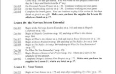 Daily Lessons Plans Exploring Creation With Human Anatomy And