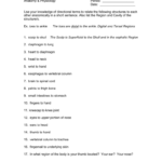 Directional Terms Worksheet