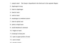 Directional Terms Worksheet