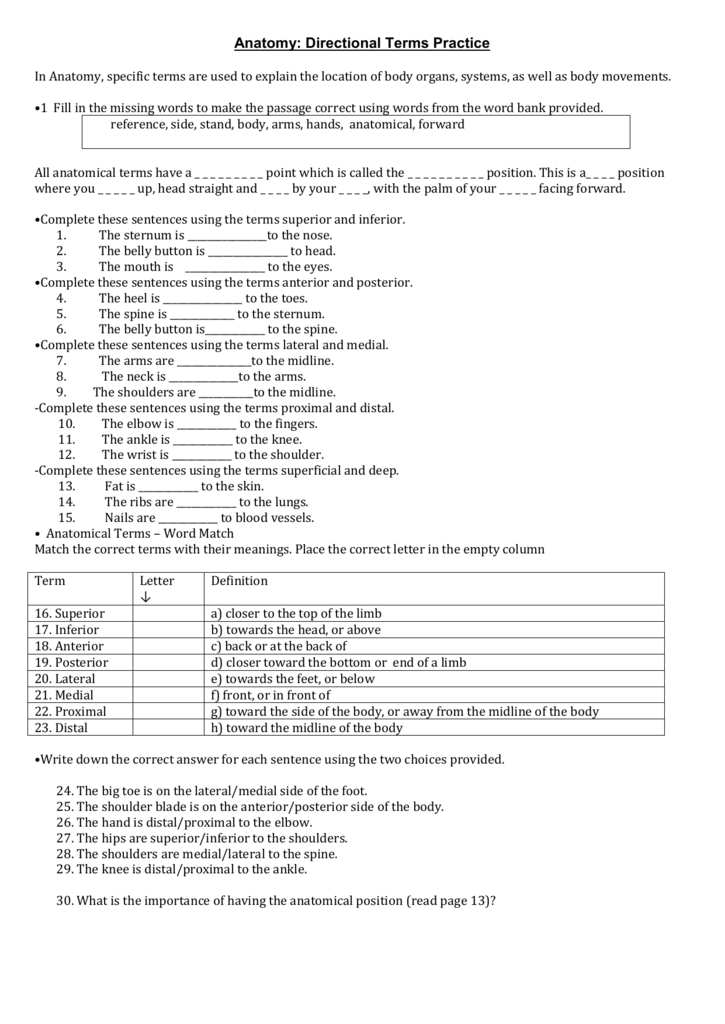 Directional Terms Worksheet Anatomy Physiology Answers Worksheet List