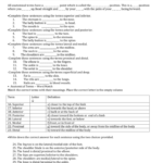 Directional Terms Worksheet Anatomy Physiology Answers Worksheet List