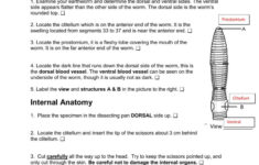 Earthworm Dissection Worksheet Db excel