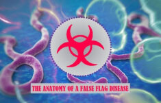 Ebola Swine Flu Zika SARS The Anatomy Of A False Flag Disease Wed