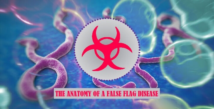 Swine Flu Anatomy Of A Pandemic Worksheet