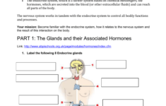 ENDOCRINE SYSTEM WEBQUEST