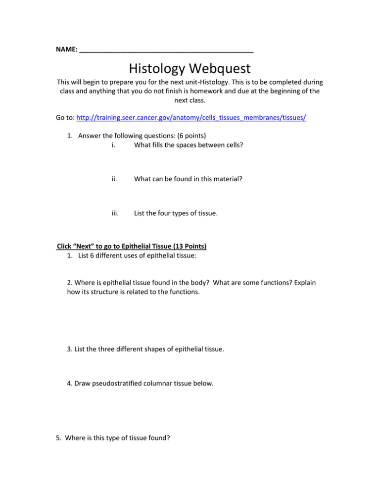 Epithelial Tissue Worksheet Answers Worksheet List Anatomy Worksheets