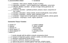 Epithelial Tissue Worksheet Answers Worksheet List