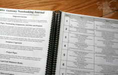 Exploring Creation With Human Anatomy And Physiology From Apologia