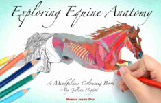 Exploring Equine Anatomy Equestricare