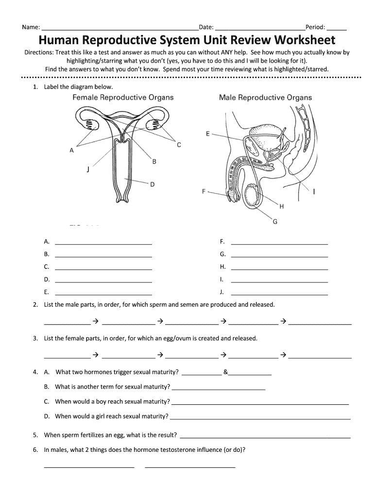 anatomy-and-physiology-reproductive-system-worksheet-key-anatomy-worksheets