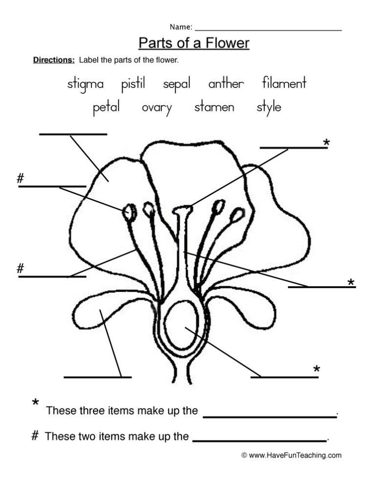 Flowers Parts Of A Plant Worksheet 1 Anatomy Worksheets