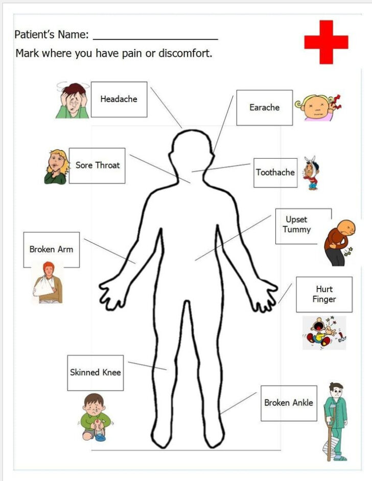 Kids Anatomy Worksheets