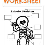 Free Printable Label A Skeleton Worksheet For Kids Kindergarten