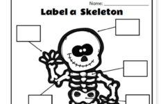 Free Printable Label A Skeleton Worksheet For Kids Kindergarten