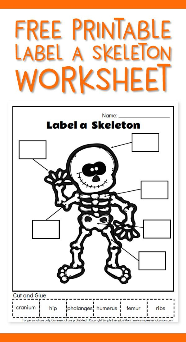 Free Printable Label A Skeleton Worksheet For Kids Kindergarten 