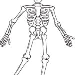 FREE Printable Skeleton Coloring Page For Kids Free Halloween