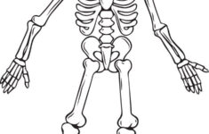 FREE Printable Skeleton Coloring Page For Kids Free Halloween