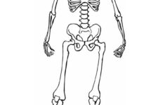 Free Printable Skeleton Coloring Pages For Kids