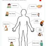 Free Printable Worksheet For Doctor S Office Pretend Play Dramatic